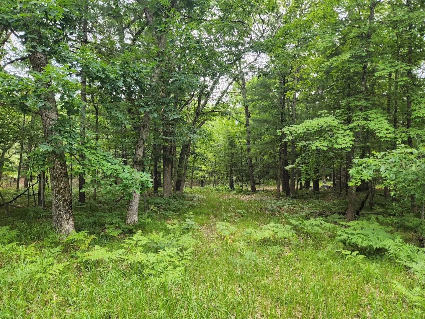 1.1 Acres of Land for Sale in Baldwin, MI - Baldwin, Michigan, 49304