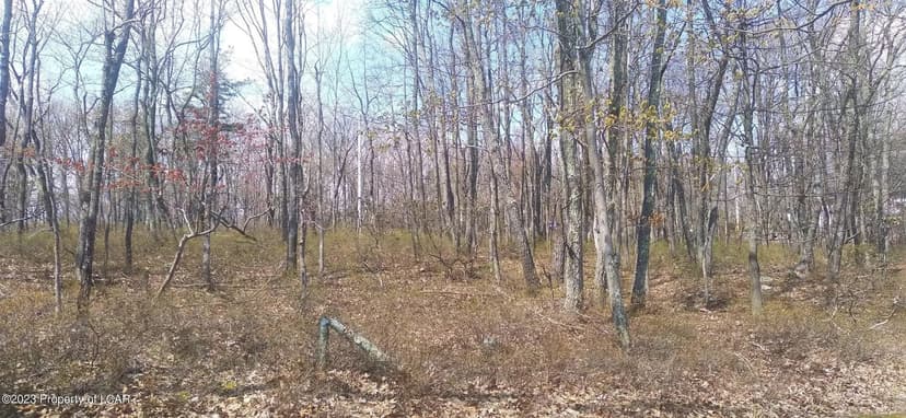 Lots & Land-Other in Hazle Twp