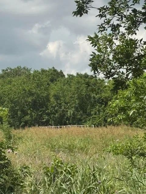 Property from 000 County Road  4219 - KW - Decatur, Texas, 76234