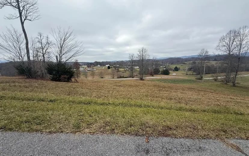 Land -Single Family Acreage in Jonesville