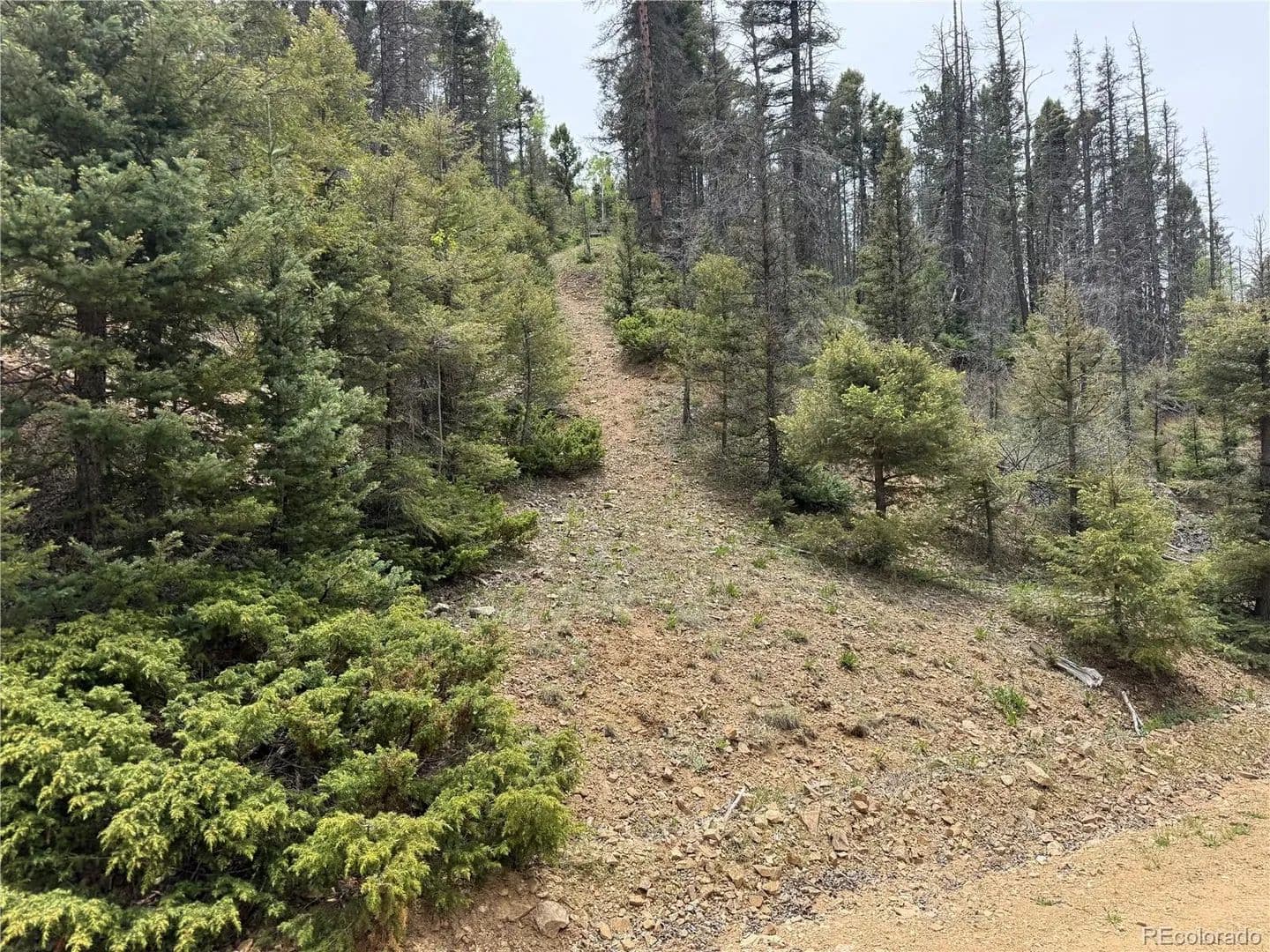 Property from Lot 6795 Starkweather Road - KW - Fort Garland, Colorado, 81133