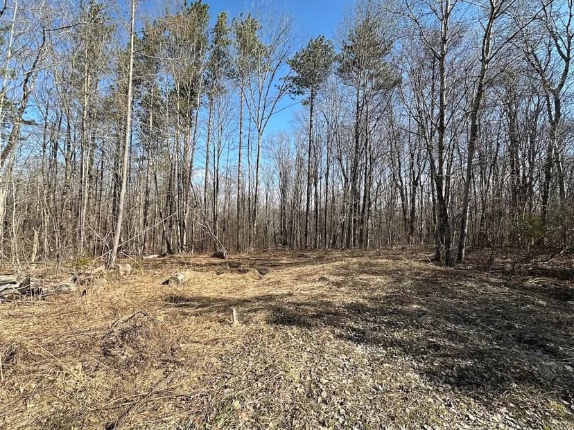 11 acre Building Lot and Hunting Land near State Land in Birdsall NY Worden Rd