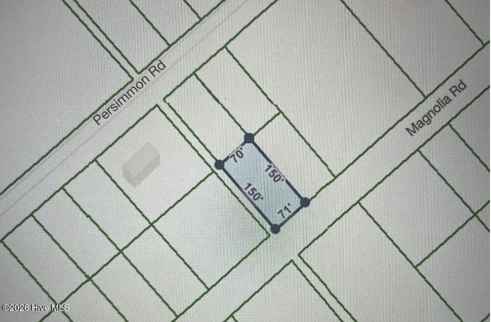 Vacant Land in Boiling Spring Lakes - Boiling Spring Lakes, North Carolina, 28461