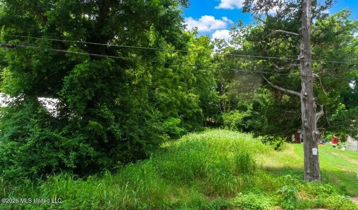 0.25 Acres of Land for Sale in Sardis, MS - Sardis, Mississippi, 38666