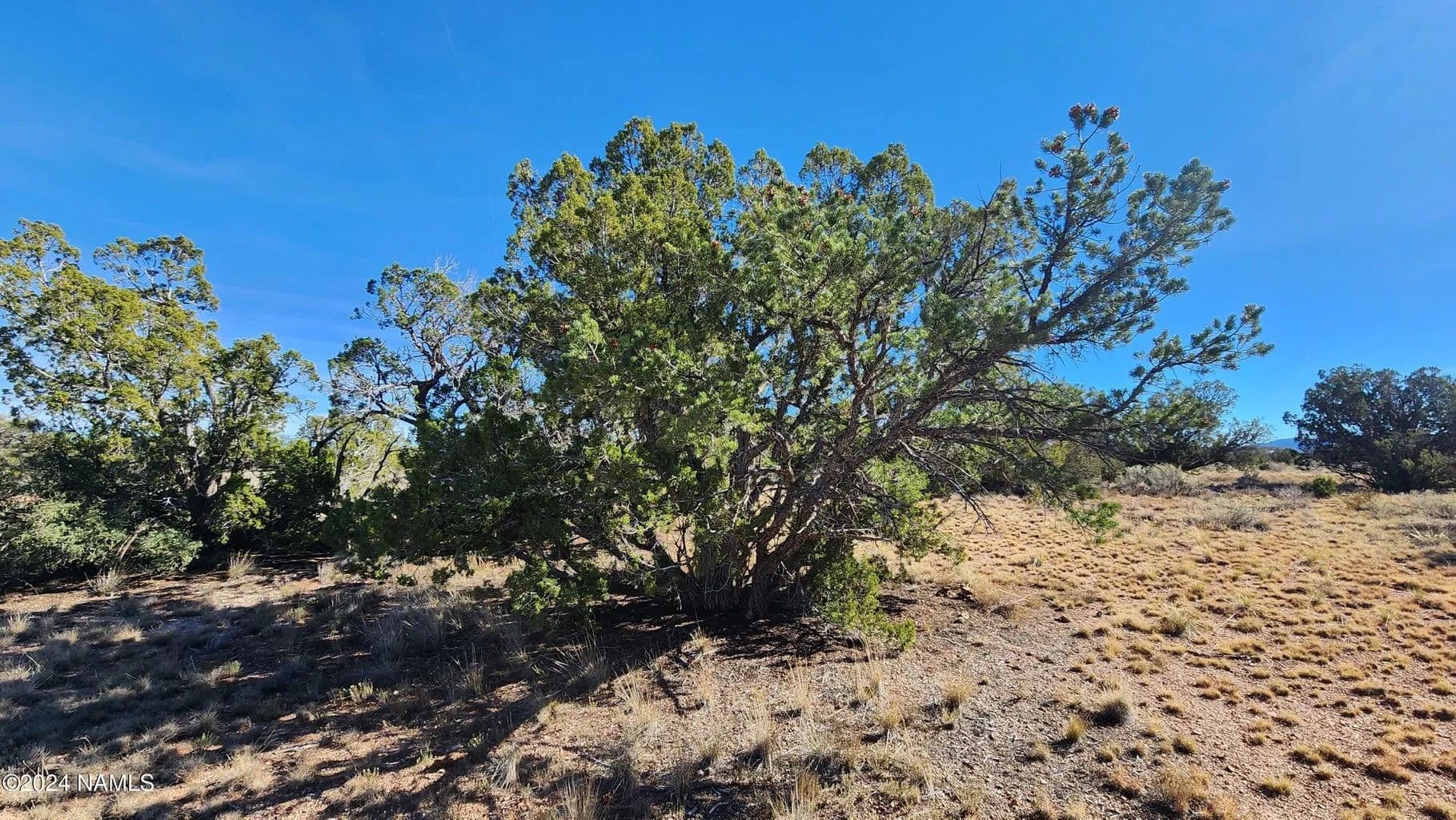 Vacant Land (0-10 Acres) in Williams - land for sale