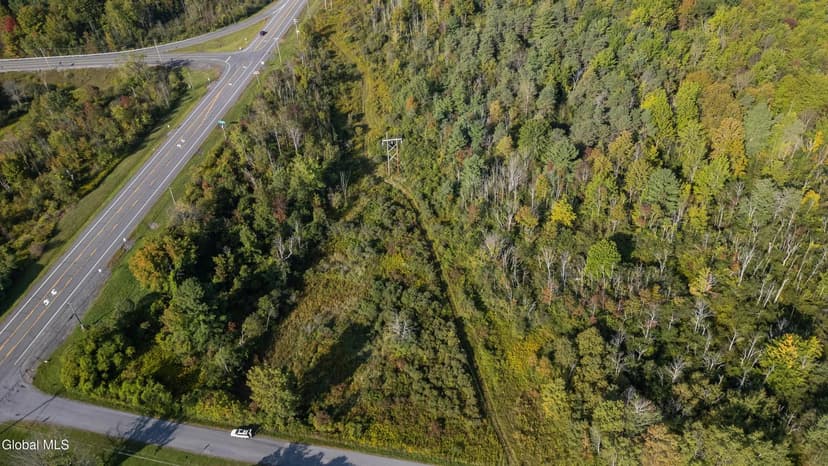 Lots & Land-Other in Duanesburg