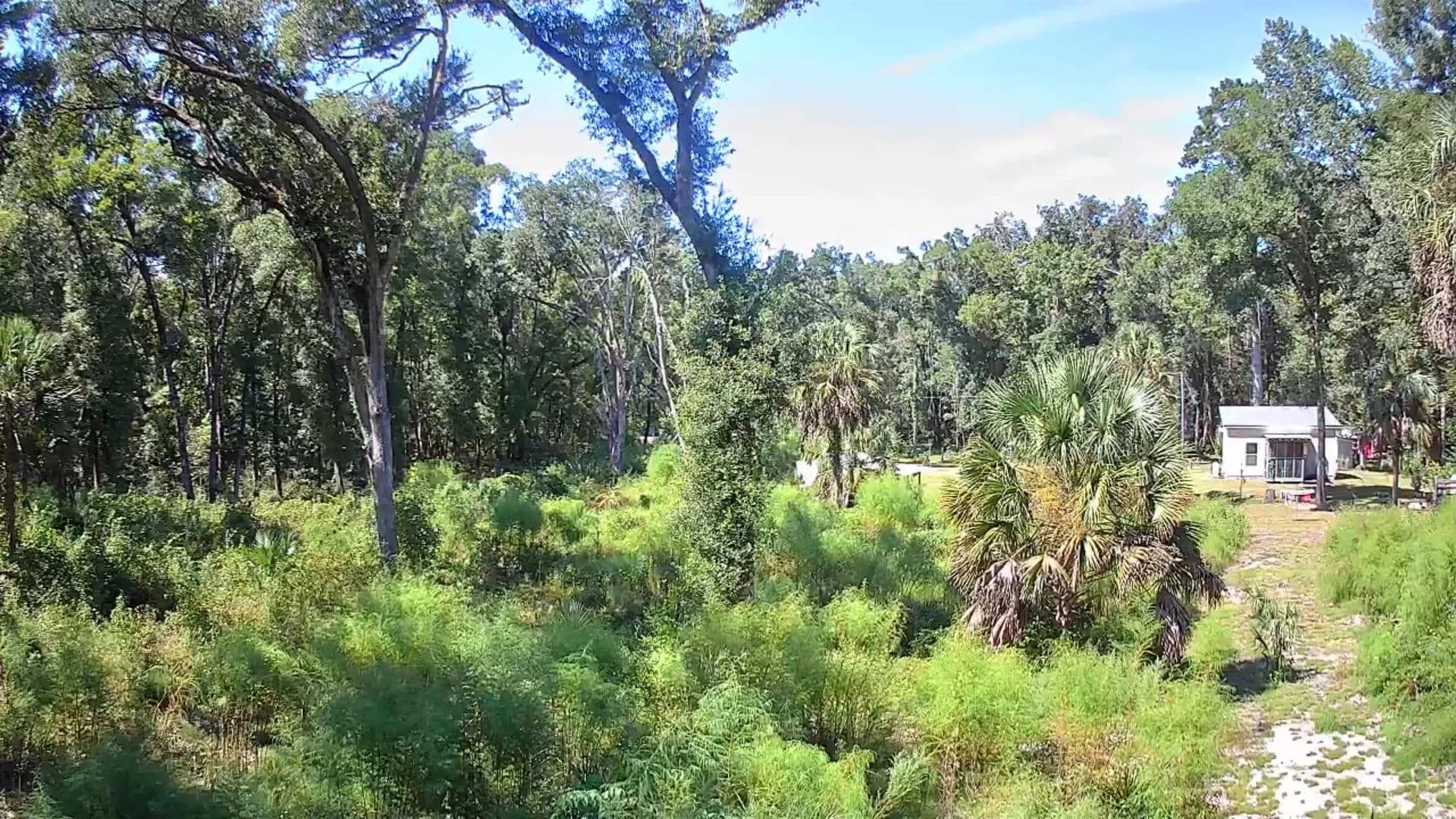 0.56 Acres of Land for Sale in Crawfordville, FL - Crawfordville, Florida, 32327