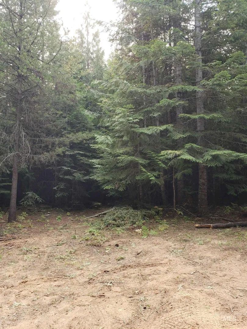 Lots & Land-Other in St. Maries - Idaho, 83861