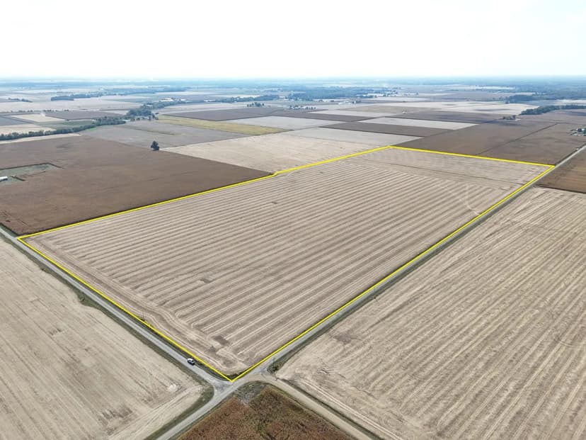 The Krabbe-Spitz Farmland Auction | 65.59 +/- Acres | Effingham County, IL