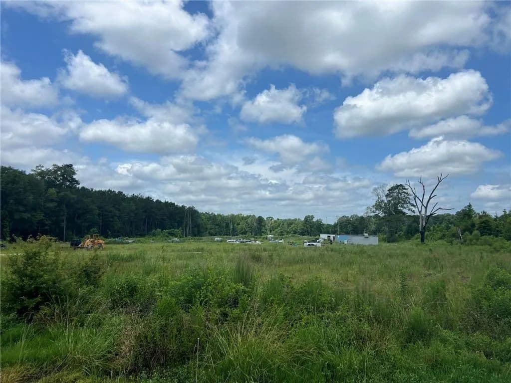 23 Acres of Land for Sale in Tangipahoa, Louisiana - Tangipahoa, Louisiana, 70465