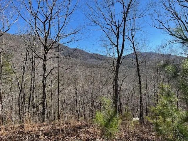 Property from Lot 10 Mountain Valley View - KW - Hiawassee, Georgia, 30546