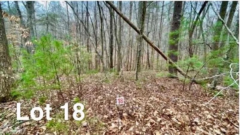 Vacant Land in Stuart - Stuart, Virginia, 24171