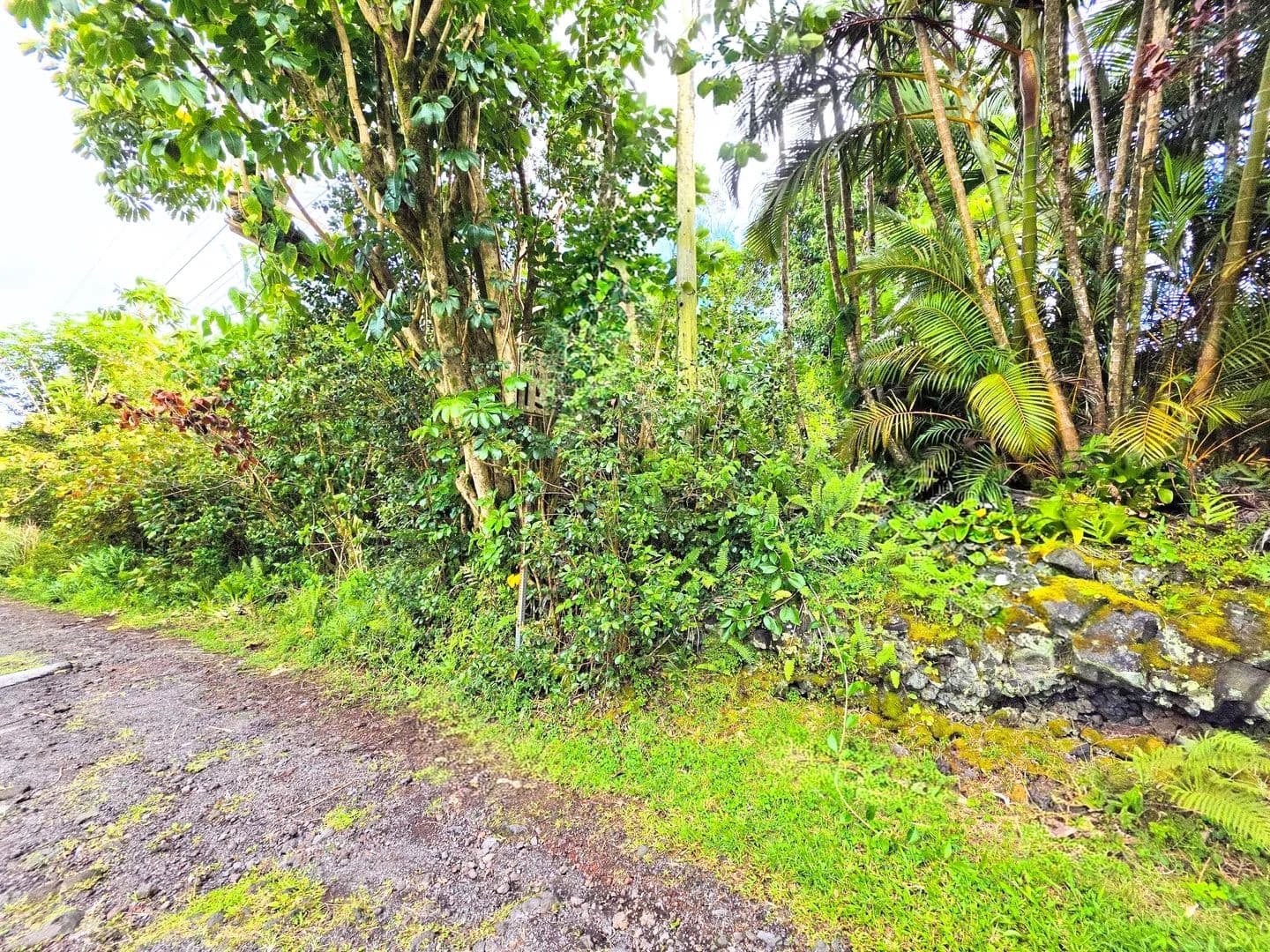 0.2 Acres of Land for Sale in Pahoa, HI - Pahoa, Hawaii, 96778
