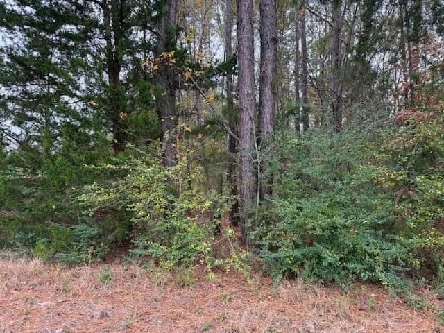 Vacant Land in Kilgore