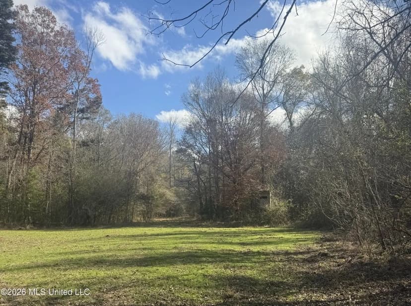 South Mississippi Hunting Land for Sale in Walthall County
