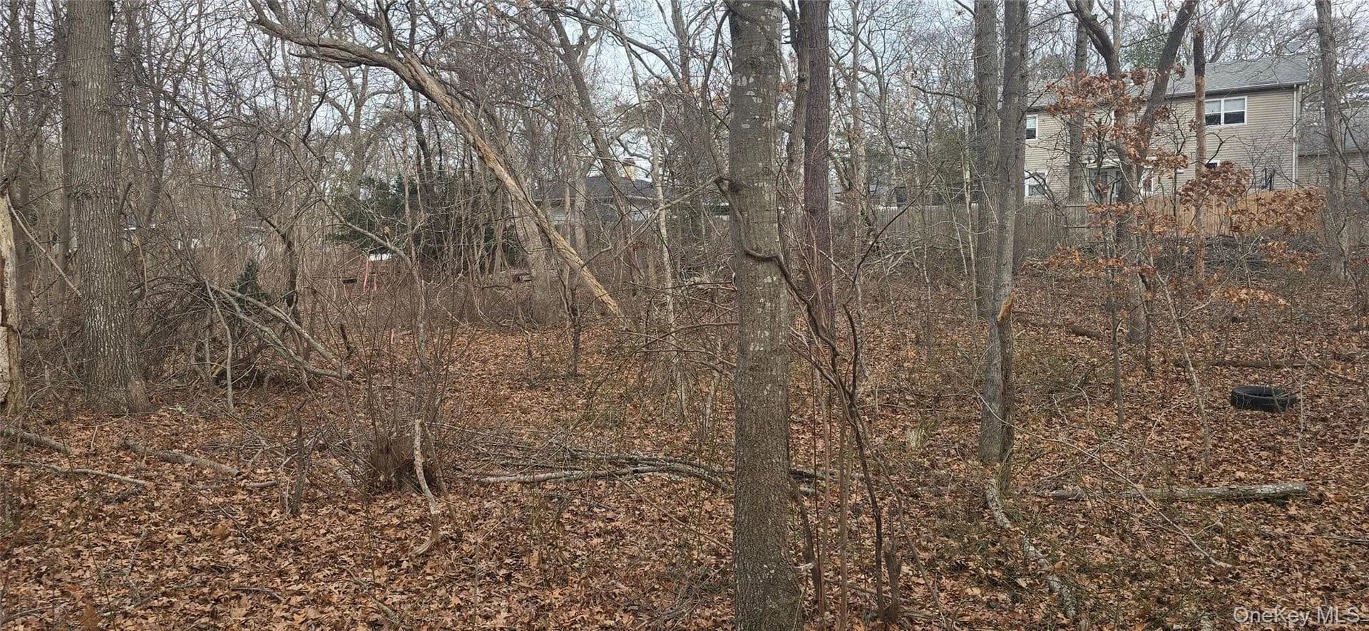 Lots & Land-Other in Mastic - Mastic, New York, 11950