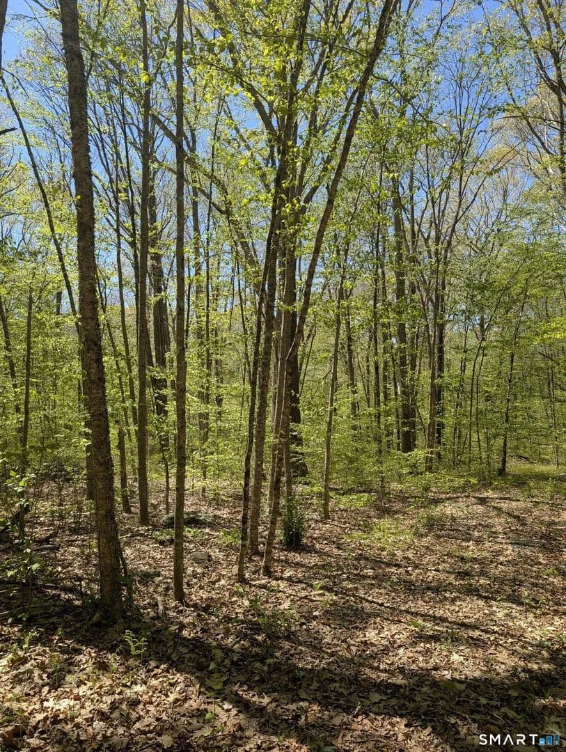 Lots & Land-Other in Coventry - Coventry, Connecticut, 06238