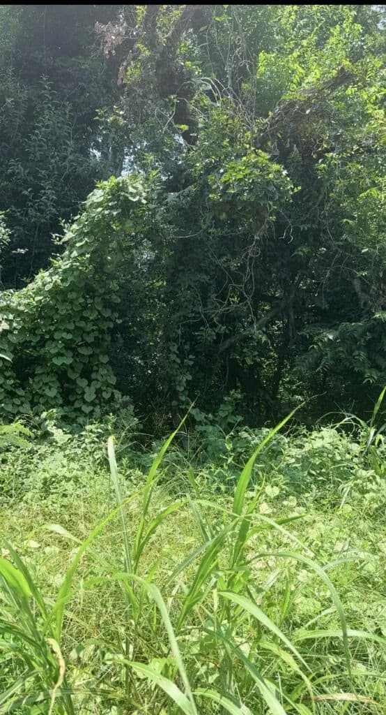 Vacant Land in Columbus - Columbus, Georgia, 31904