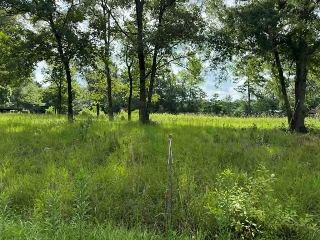 1.76 Acres of Land for Sale in Huntington, Texas - Huntington, Texas, 75949