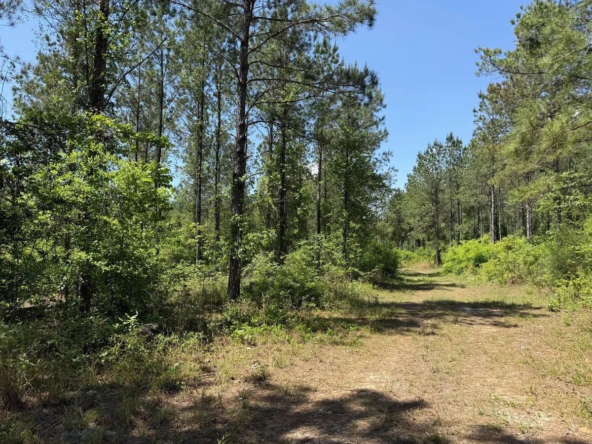 Lane - Blakely, Georgia, 39823