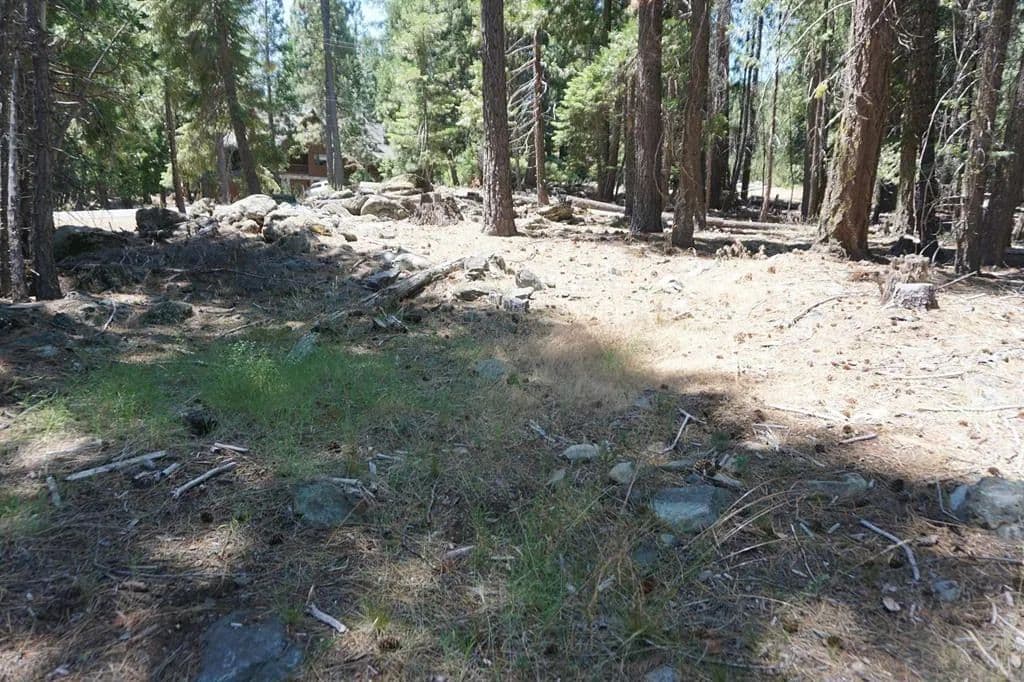 Vacant Land in Blairsden Graeagle - California, 96103
