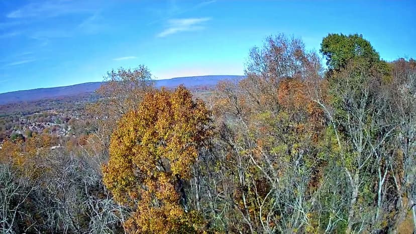 Property from 6499 Fairview Road - KW