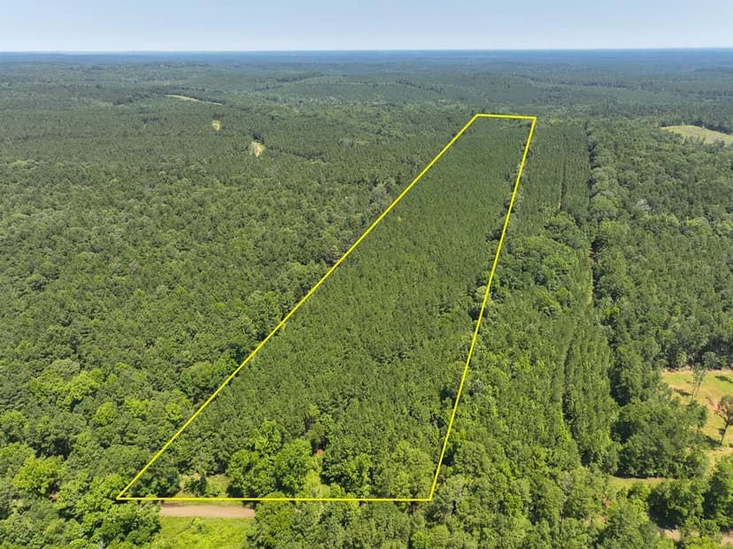 25 Acres | T-1 | Carters Ferry Road | 1010