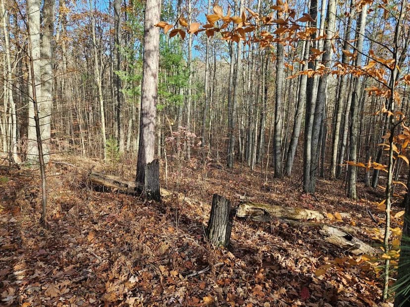 Lots & Land-Other in Roscommon