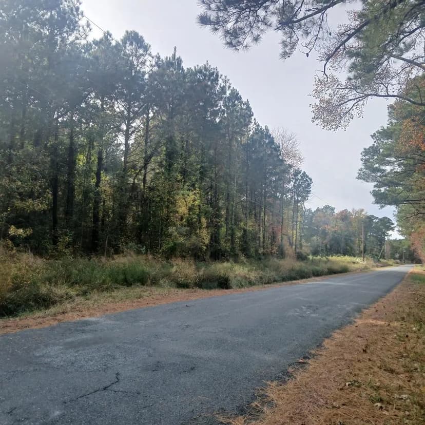 Vacant Land (10+ Acres) in Sanford