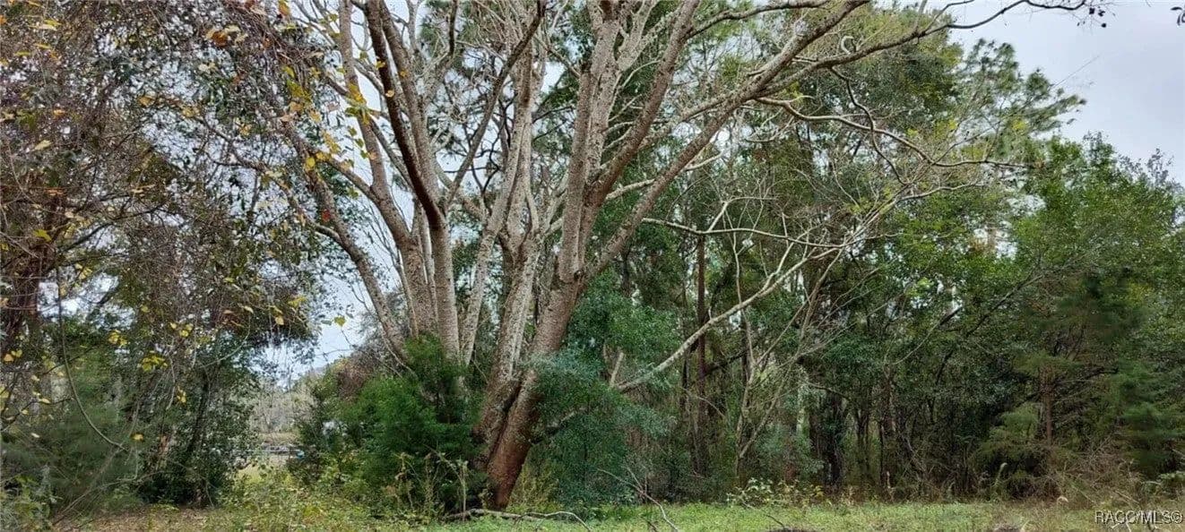 Lots & Land-Other in Inverness - Inverness, Florida, 34452
