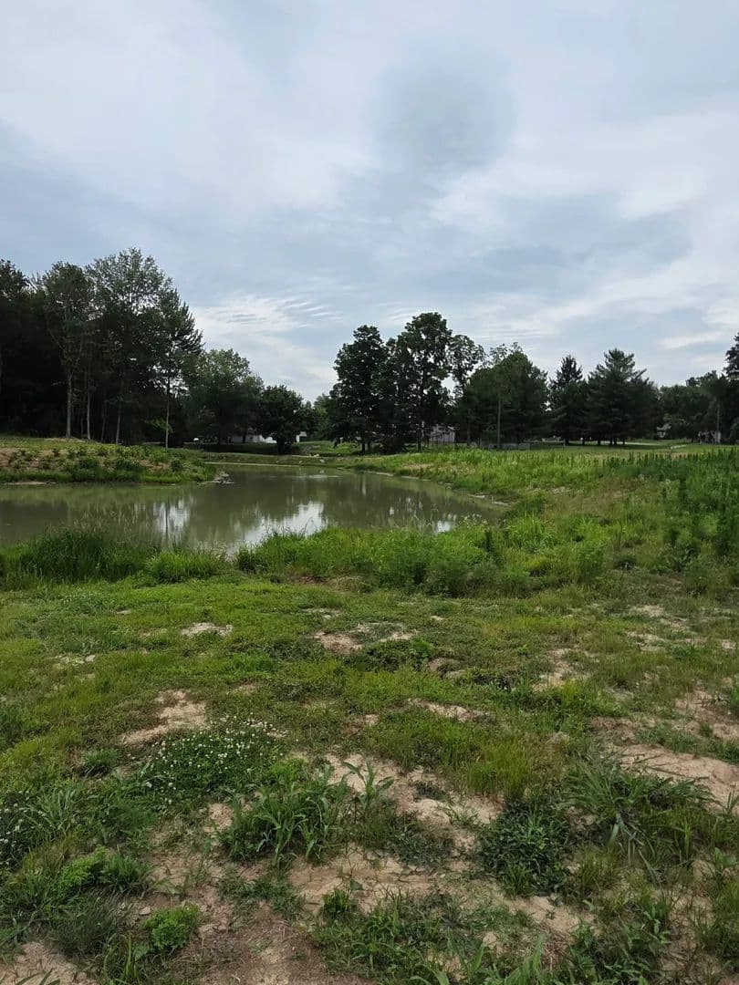 Land -Agricultural (Not Zoned) in Carlisle - land for sale