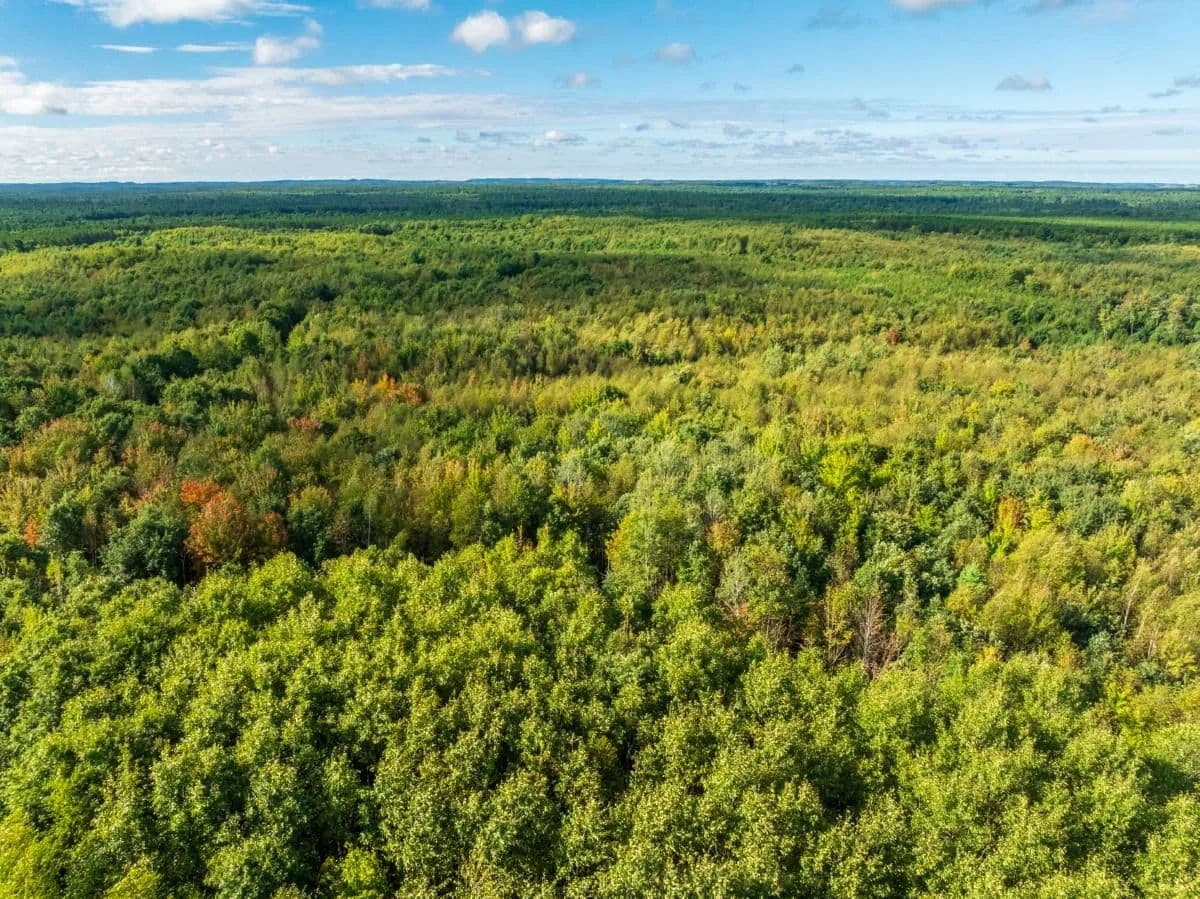 204.74± acres of premier recreational and hunting land in Eau Claire County - Augusta, Wisconsin, 54729