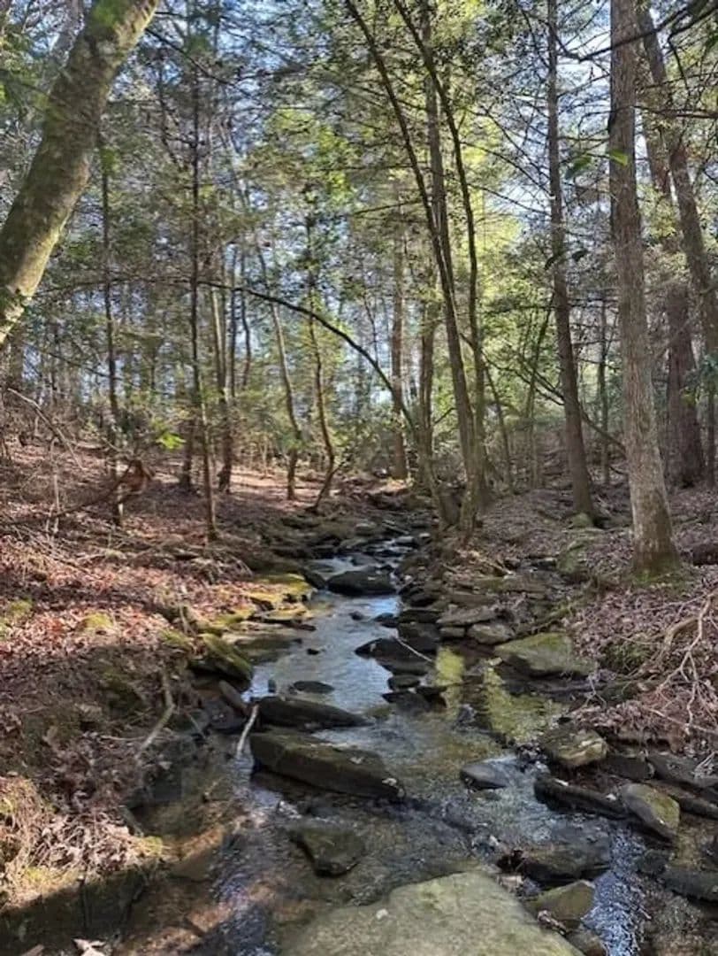 5.03+/- acres with beautiful Creek in Grundy County, Tennessee