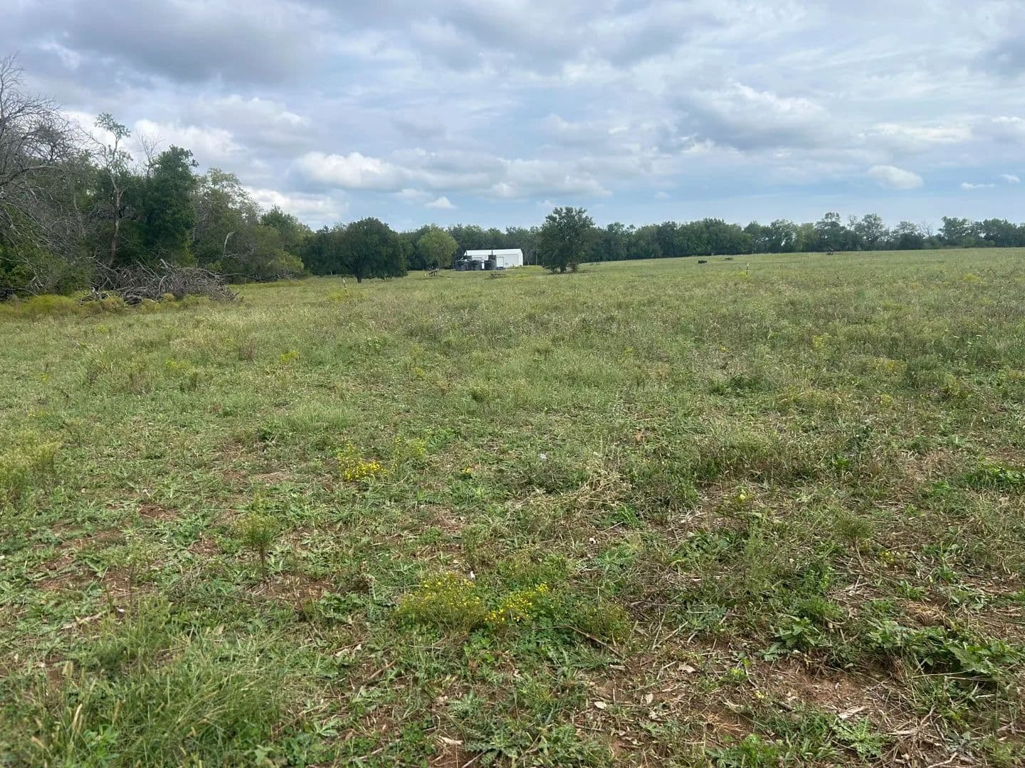 Prime 80±-Acre Hunting & Recreational Land with Investment Potential – Linn County - Blue Mound, Kansas, 66010