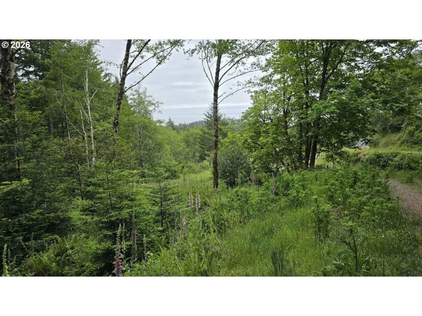 Vacant Land in Brookings