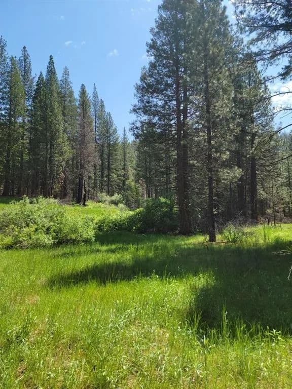 Vacant Land (10+ Acres) in Genesee - Genesee, California, 95983