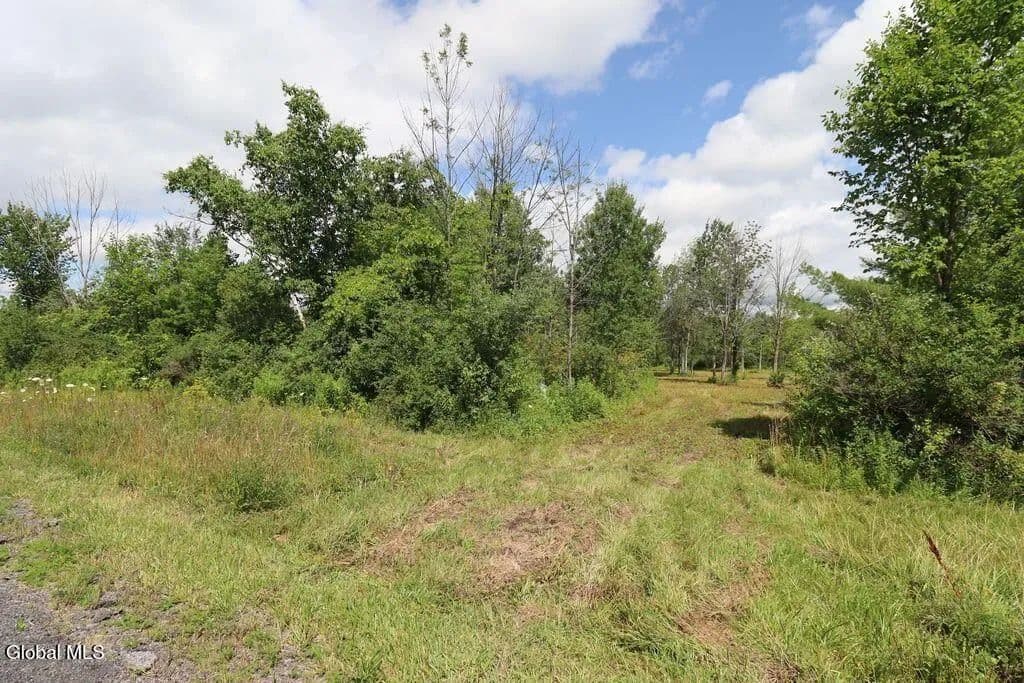 Land -Single Family Acreage in Delanson - Delanson, New York, 12107