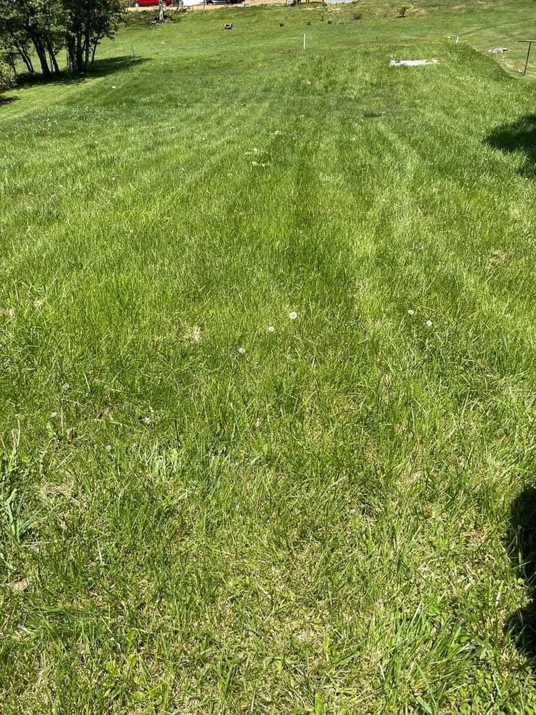 Lots & Land-Other in BLUEFIELD