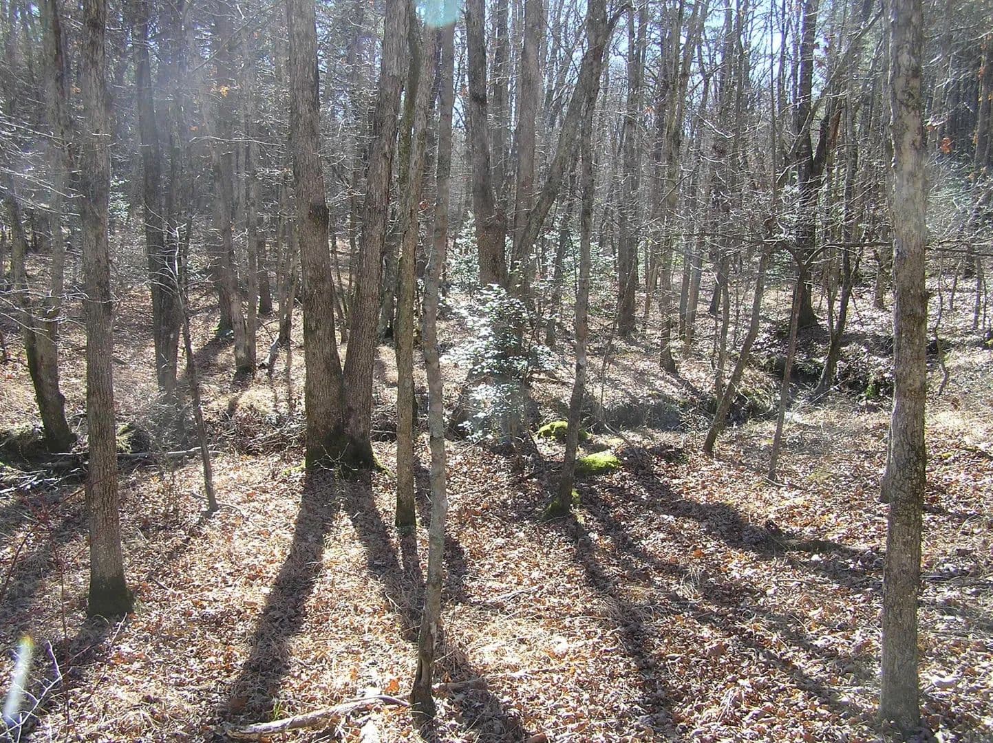 Land -Agricultural (Not Zoned) in Spencer - Spencer, Tennessee, 38585