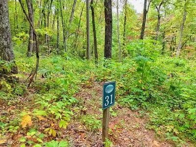 Lots & Land-Other in Hayesville - land for sale