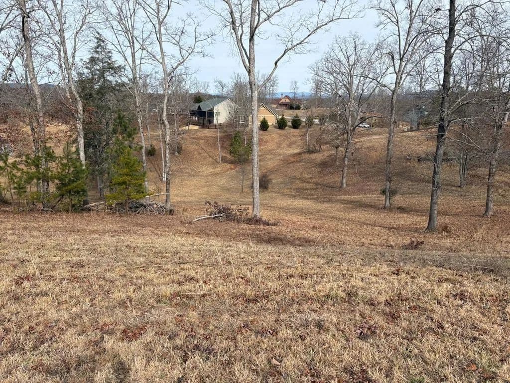 Lots & Land-Other in Blairsville - Blairsville, Georgia, 30512