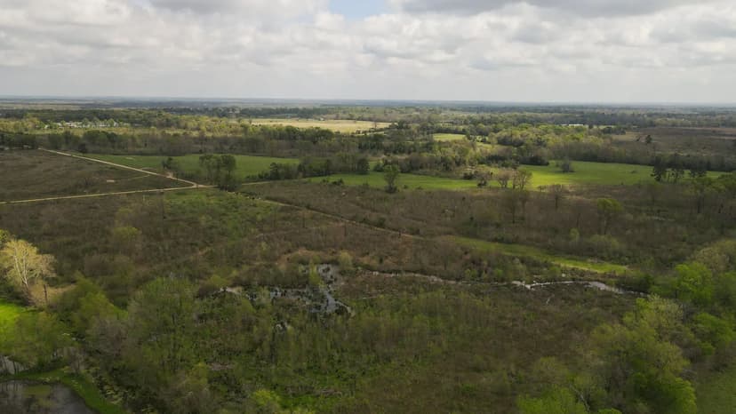 196 Acres in Hempstead County, AR 