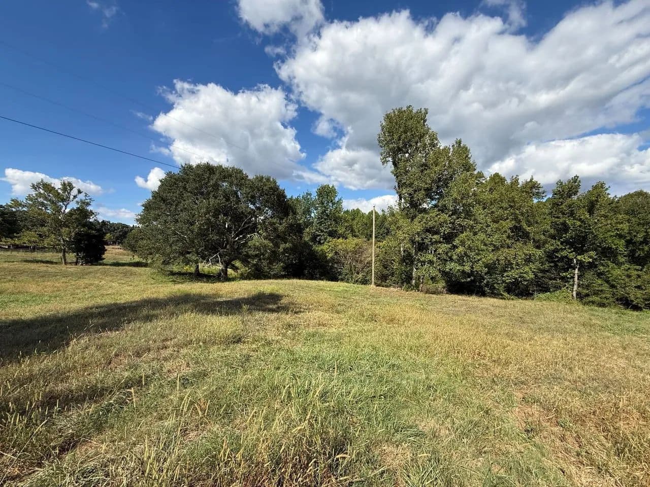 Turkey Creek 30.9 - Moulton, Alabama, 35650