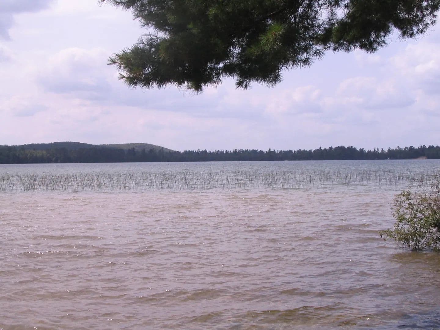 Lots & Land-Other in Grayling - Grayling, Michigan, 49738