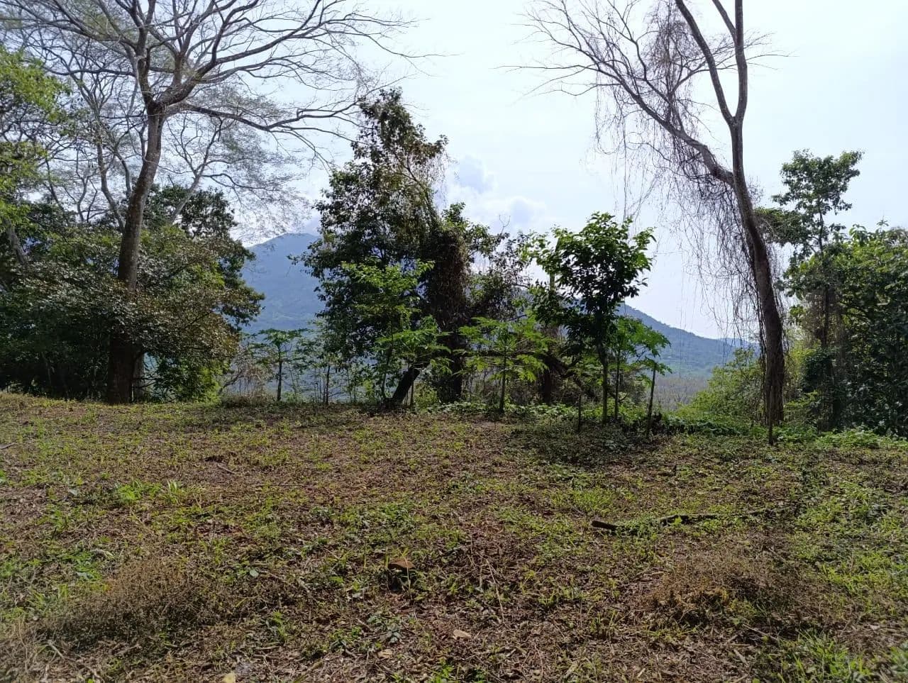 Venta de lote en Turrubares - Costa Rica