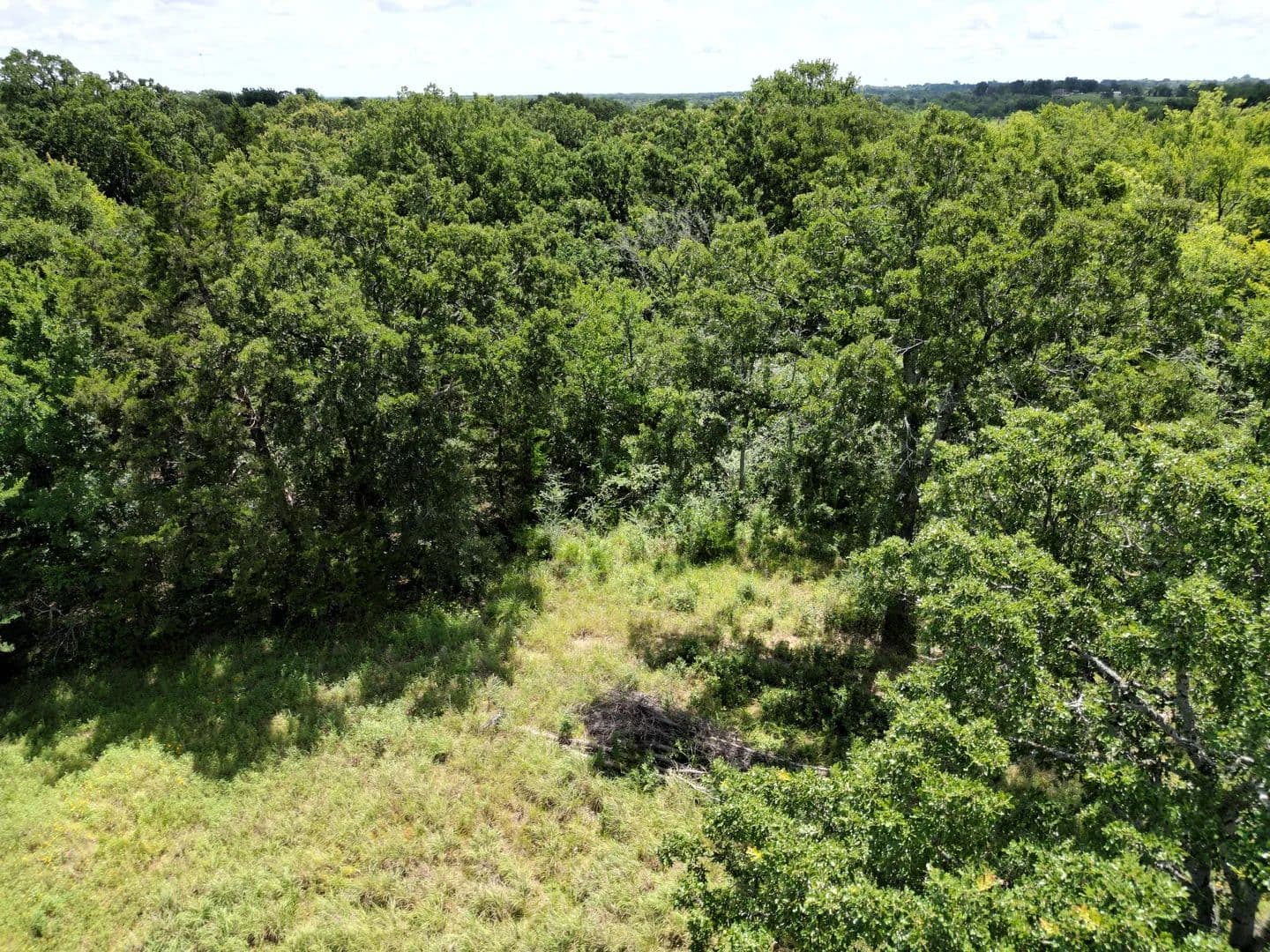 Land -Single Family Acreage in Sulphur Springs - Sulphur Springs, Texas, 75482