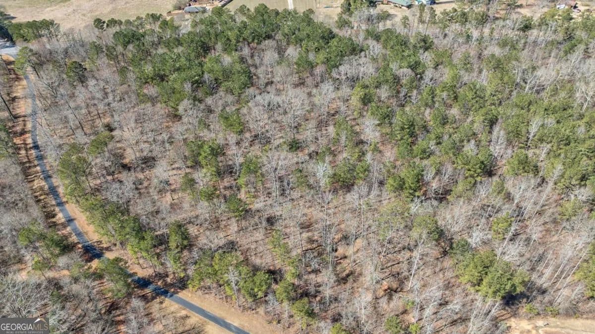 Vacant Land in Loganville - Loganville, Georgia, 30052