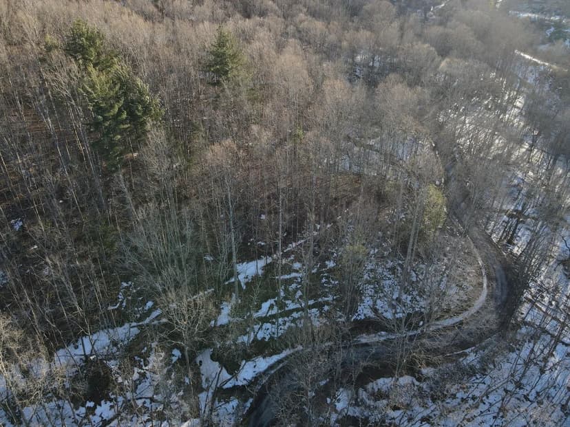 Lots & Land-Other in Renick