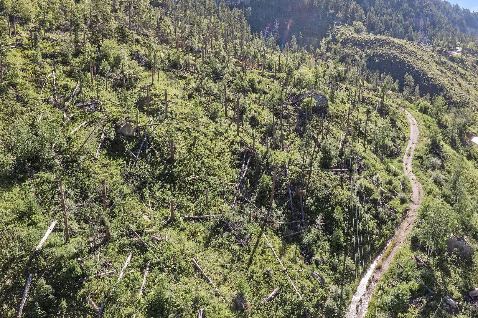 Vacant Land (10+ Acres) in Lead - Lead, South Dakota, 57732