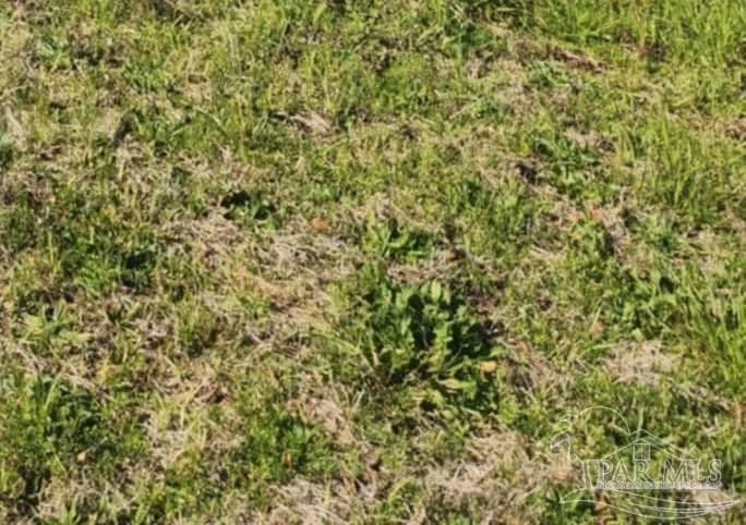 Lots & Land-Other in Milton - Milton, Florida, 32583